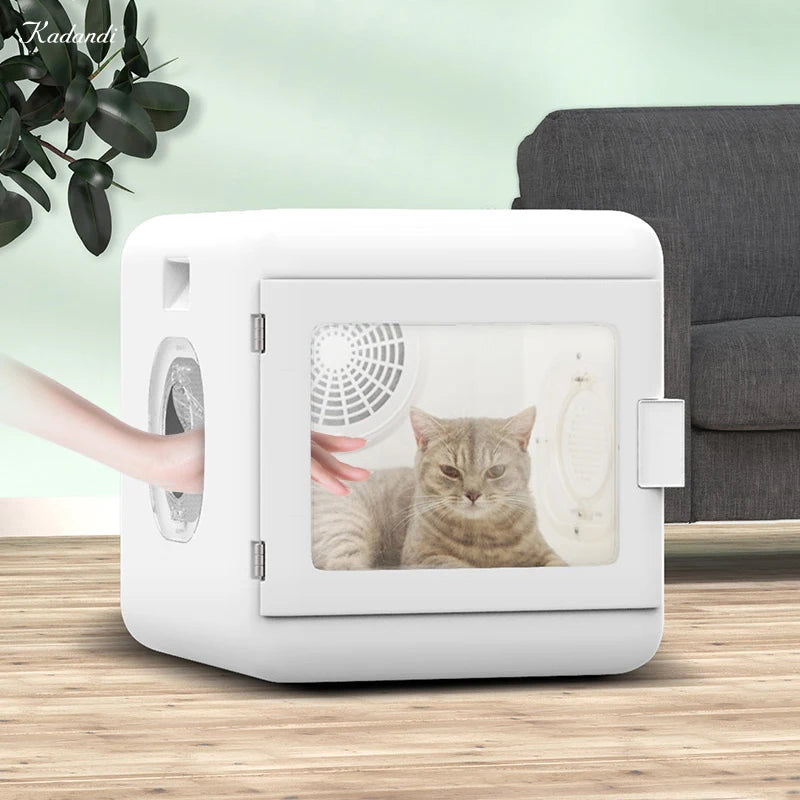 S8e326915ade24d07a7769169018042c7q